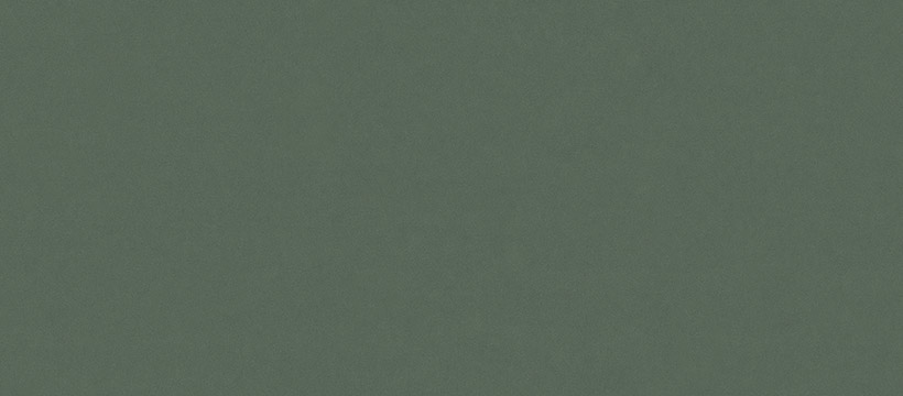 2207 雨林綠
